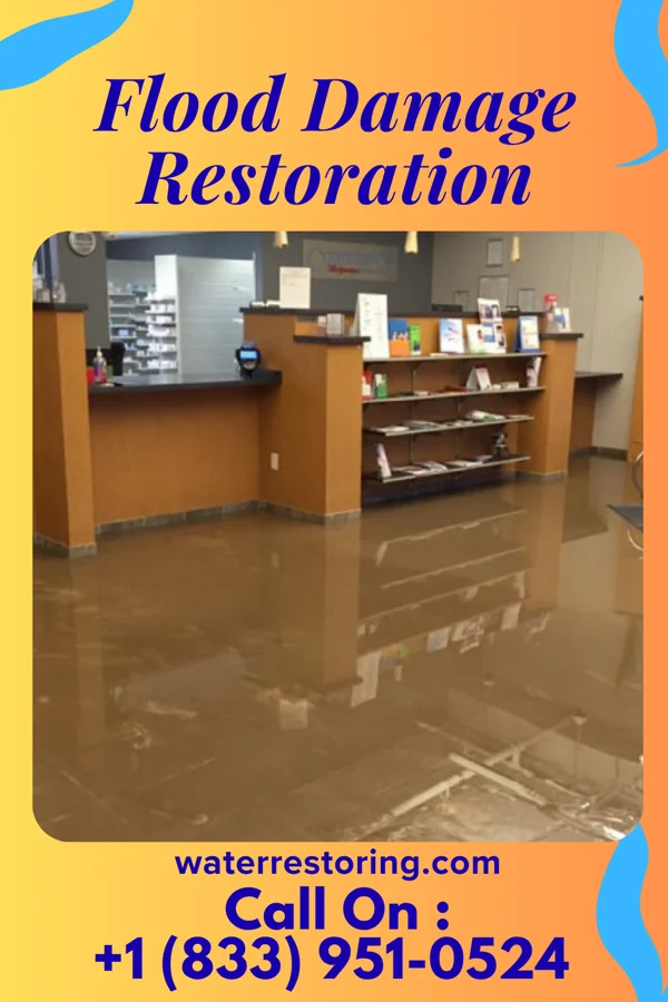Flood Damage Restoration in Terre du Lac, MO